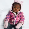 Baby Bear Set Baby Bear Set
