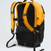 Borealis Backpack