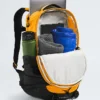 Borealis Backpack