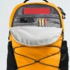 Borealis Backpack