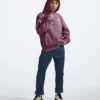 Men’s Evolution Vintage Hoodie