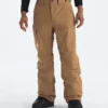 Men’s Freedom Insulated Pants