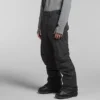 Men’s Freedom Insulated Pants