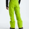 Men’s Freedom Pants Men’s Freedom Pants