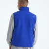 Men’s Retro Denali DTM Vest