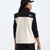 Men’s Retro Denali Vest