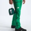 Men’s Summit Series CLOUD DOWN AMK LT Pants