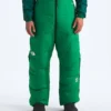 Men’s Summit Series CLOUD DOWN AMK Pants
