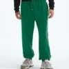 Men’s TNF™ Essential Simple Dome Relaxed Pants