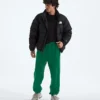 Men’s TNF™ Essential Simple Dome Relaxed Pants