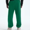 Men’s TNF™ Essential Simple Dome Relaxed Pants