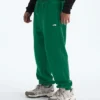 Men’s TNF™ Essential Simple Dome Relaxed Pants