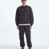 Men’s TNF™ Red Box Crew