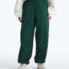Men’s TNF™ Red Box Packable Wind Pants