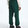 Men’s TNF™ Red Box Packable Wind Pants