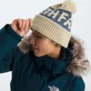 Retro Cabin Beanie