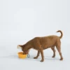 TNF™ Collapsible Pet Bowl