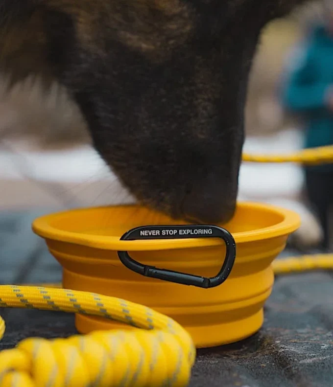 TNF™ Collapsible Pet Bowl