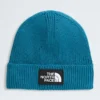 TNF™ Logo Box Cuffed Beanie