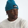 TNF™ Logo Box Cuffed Beanie