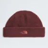 Whimzy Powder Beanie