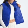 Women’s 1996 Retro Nuptse DTM Vest