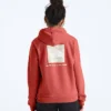 Women’s Evolution Box NSE Fill Light Hoodie—Graphic