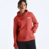 Women’s Evolution Box NSE Fill Light Hoodie—Graphic
