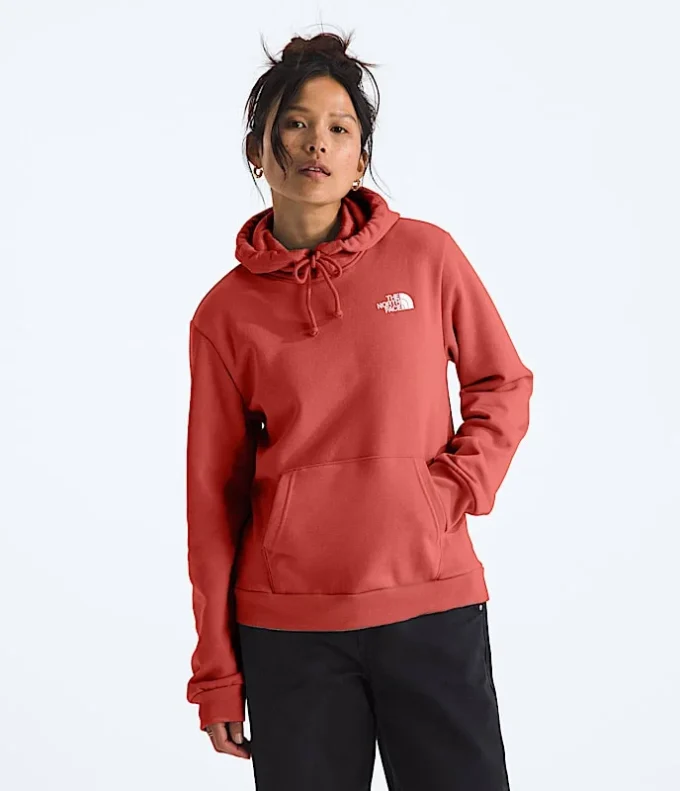 Women’s Evolution Box NSE Fill Light Hoodie—Graphic