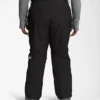 Women’s Plus Freedom Insulated Pants