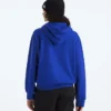 Women’s TNF™ Essential Simple Dome Relaxed Hoodie
