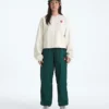 Women’s TNF™ Red Box Crew